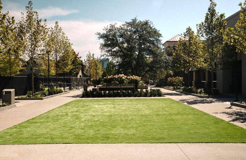 Lawn at Ashford